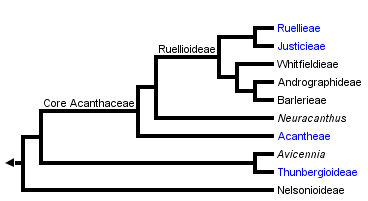 taxon links