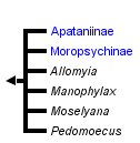 taxon links