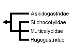 taxon links