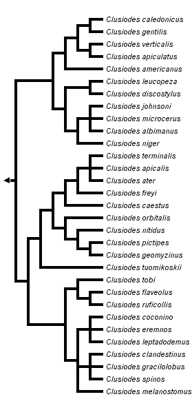 taxon links