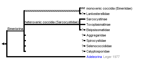 taxon links