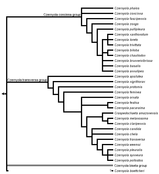 taxon links