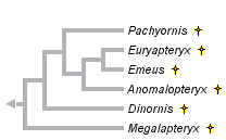 taxon links