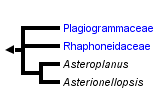 taxon links